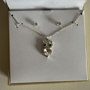 New Charter Club Owl Necklace And Earring Set Silver Color